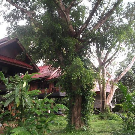 Bamboo House Hotell Khao Sok National Park Eksteriør bilde