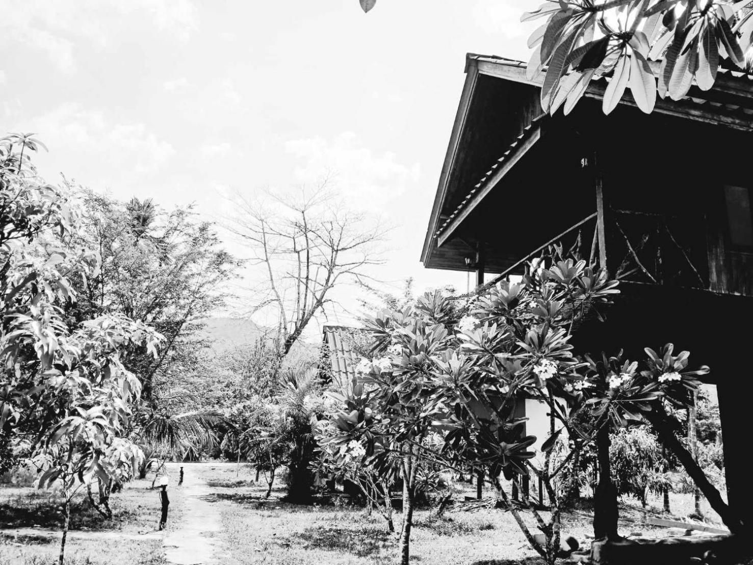 Bamboo House Hotell Khao Sok National Park Eksteriør bilde