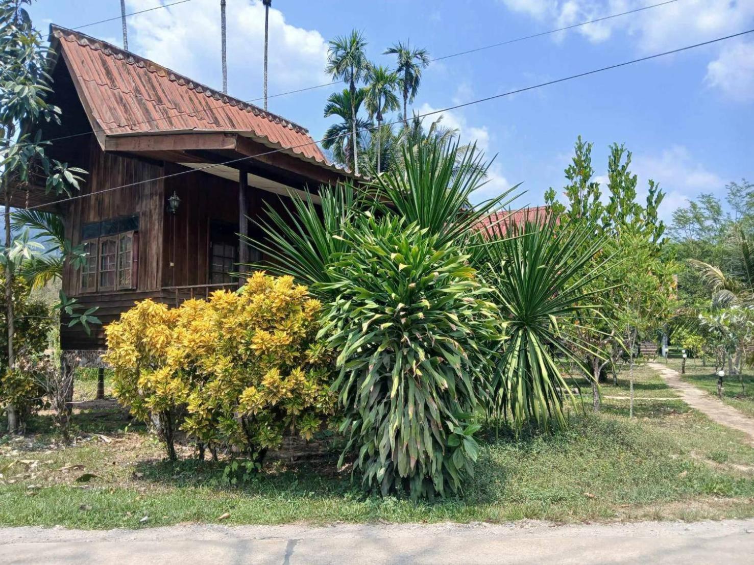 Bamboo House Hotell Khao Sok National Park Eksteriør bilde