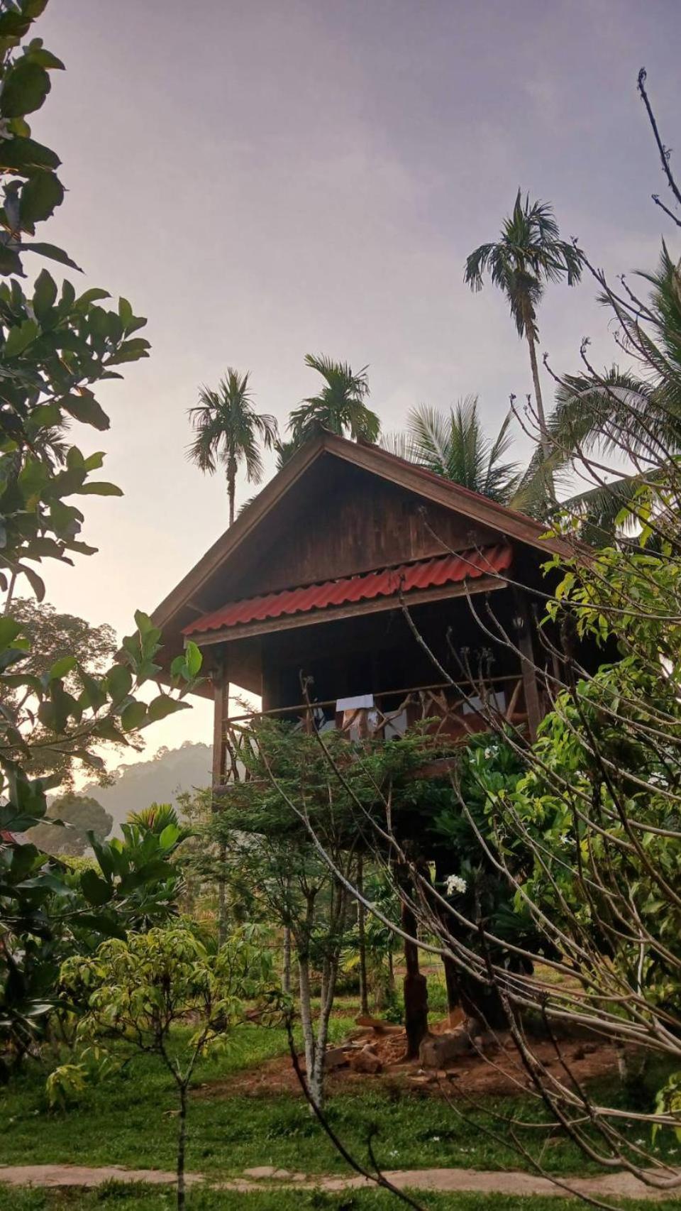 Bamboo House Hotell Khao Sok National Park Eksteriør bilde