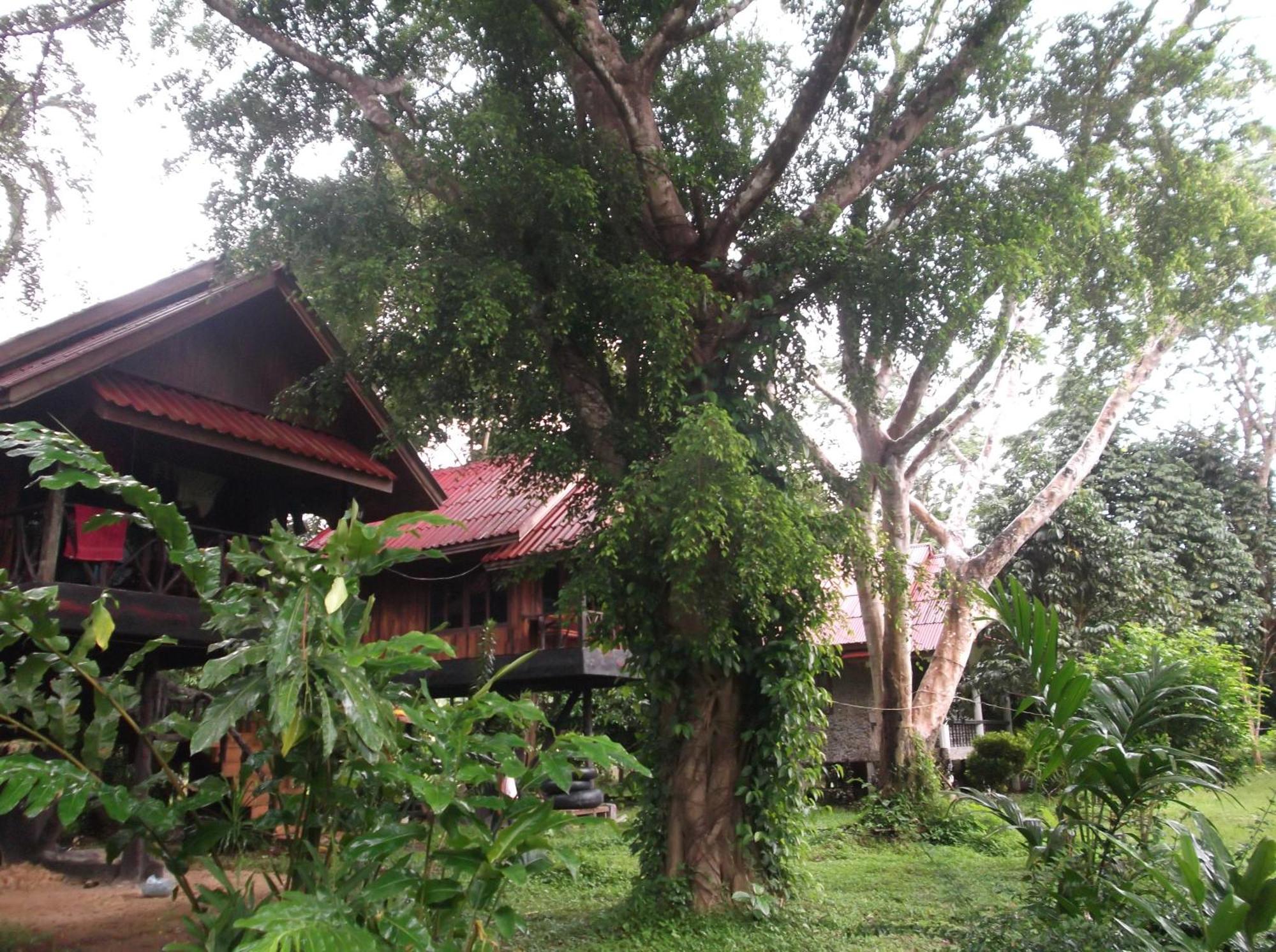 Bamboo House Hotell Khao Sok National Park Eksteriør bilde