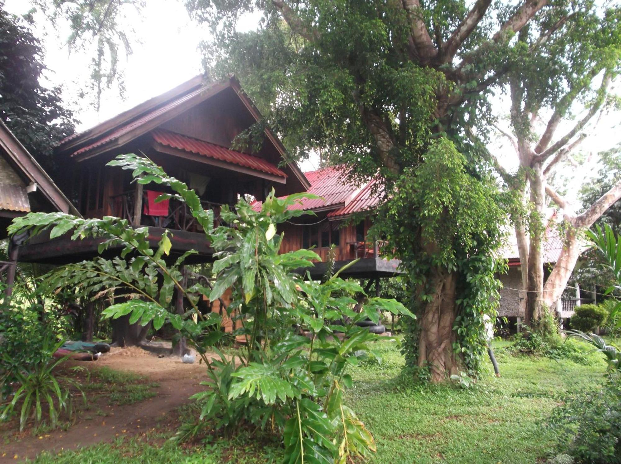 Bamboo House Hotell Khao Sok National Park Eksteriør bilde