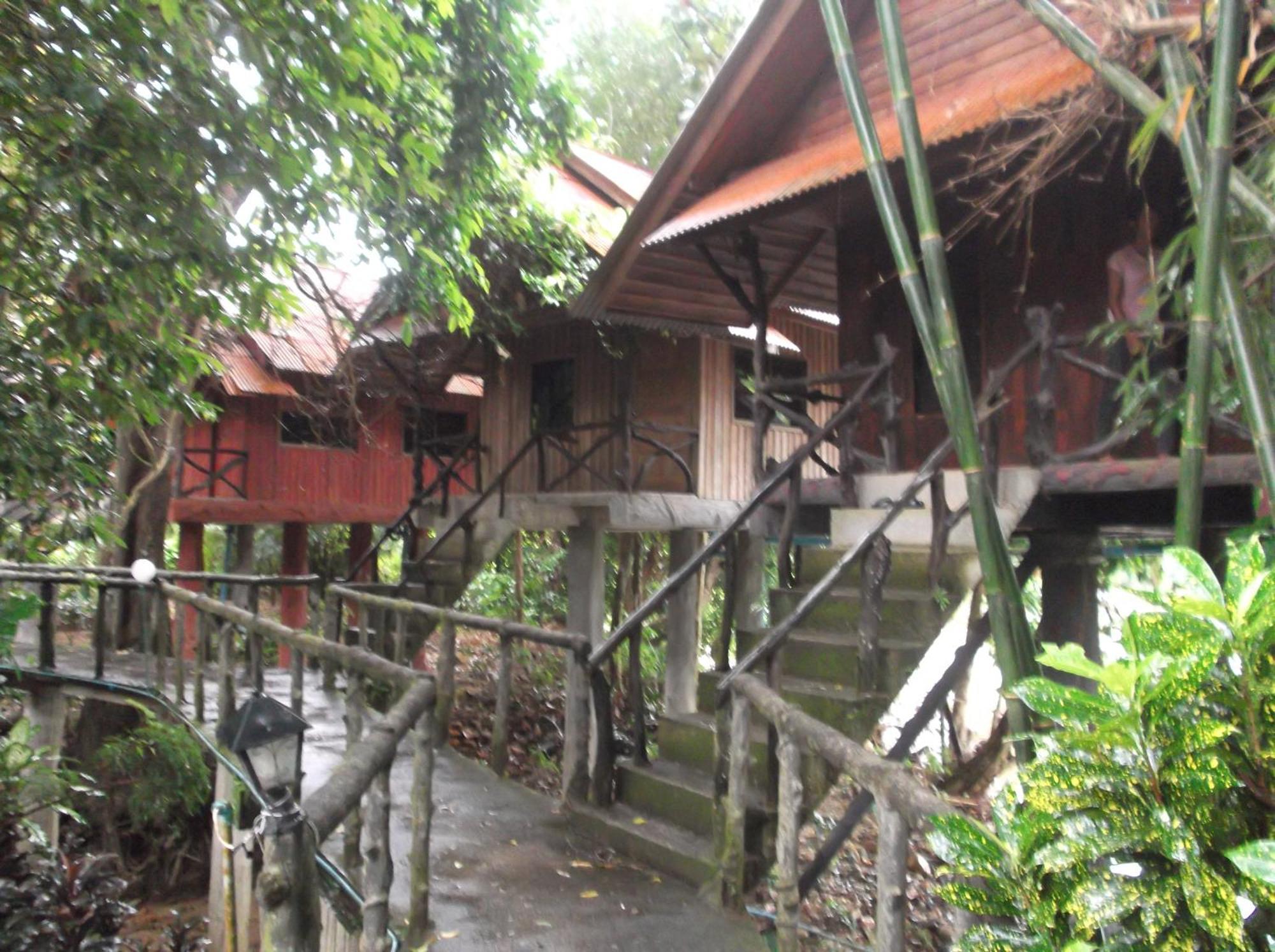 Bamboo House Hotell Khao Sok National Park Eksteriør bilde