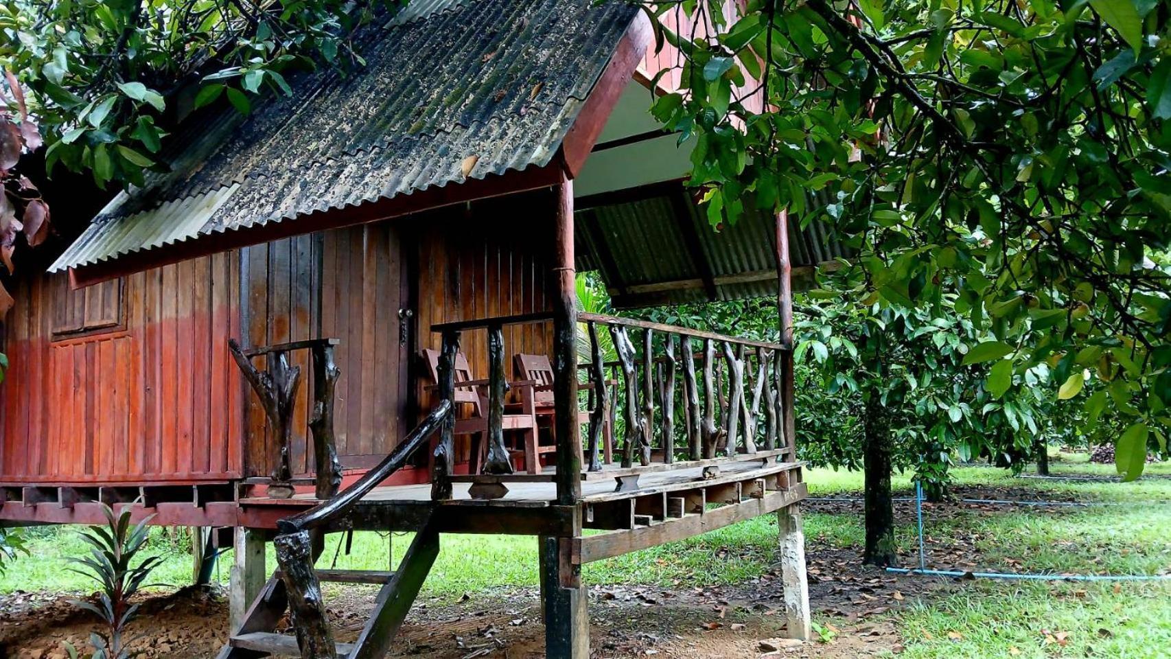 Bamboo House Hotell Khao Sok National Park Eksteriør bilde