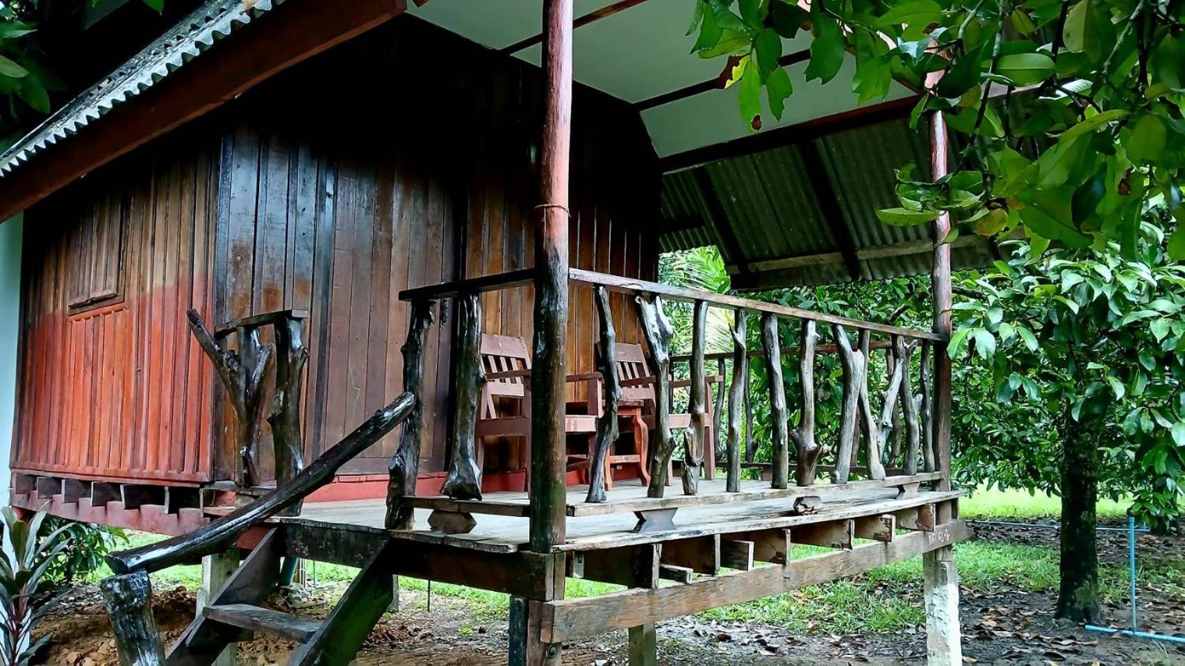 Bamboo House Hotell Khao Sok National Park Eksteriør bilde